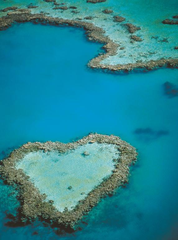 Апарт готель At Waterfront Whitsunday Retreat - Adults Only Ерлі-Біч Екстер'єр фото